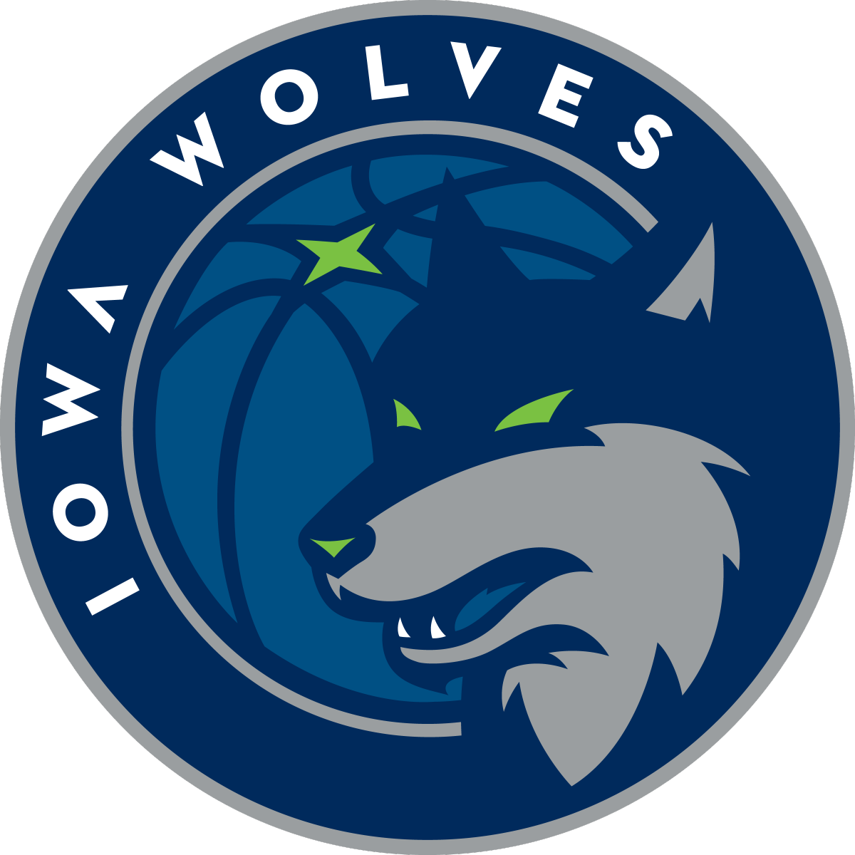 Iowa Wolves 2017-Pres Primary Logo iron on heat transfer
